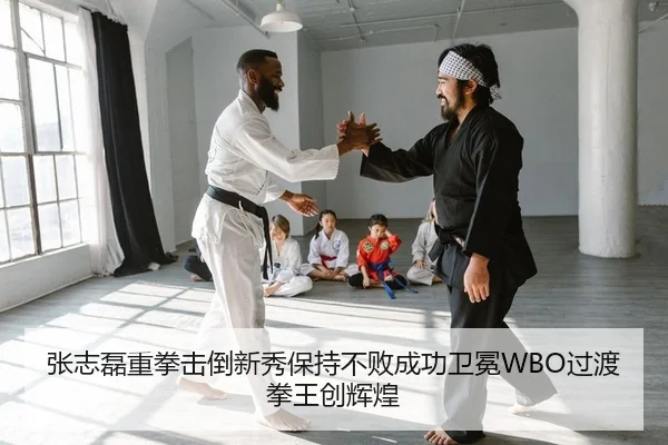 zhang-zhi-lei-zhong-quan-ji-dao-xin-xiu-bao-chi-bu-bai-cheng-gong-wei-mian-guo-du-quan-wang-chuang-hui-huang-2-465.jpg